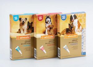 Bayer Advocate капли от блох и клещей для собак (3 пипетки)