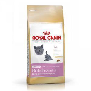 Royal Canin British Shorthair Kitten сухой корм для котят британской породы 10 кг