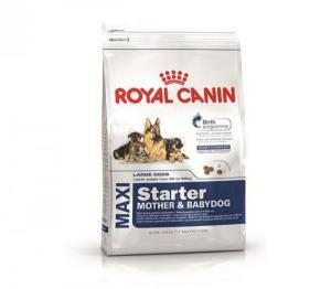 Royal Canin Maxi Starter сухой корм для щенков до 2-х месяцев, беременных и кормящих сук 15 кг